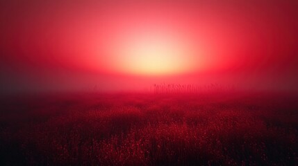 Fototapeta premium Smooth Red Gradient Background with Ample Copy Space for Design and Marketing Use