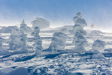 Trees frozen with snow and ice at the famous Zao Snow Monsters in Yamagata, Japan