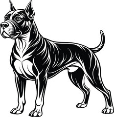 Boxer dog silhouette vector illustration Black silhouettes of breeds of dogs.