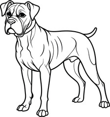 Line art Boxer dog Collections poses in freehand drawing vector illustration