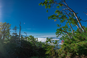 Obraz premium 御嶽山八合目から広がった雲海を望む