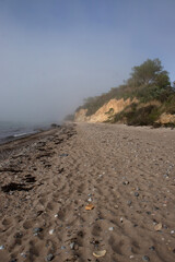 Beach with a small hill with trees on a foggy spring day in northern Germany at the Baltic Sea.