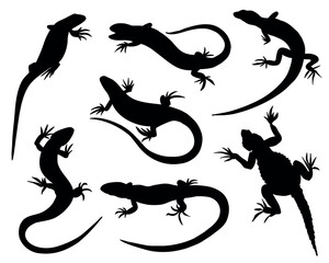 Lizard Black Silhouette Set. Vector Reptile Animal Collection Isolated on White Background