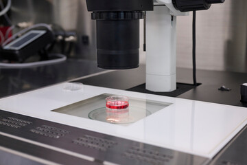 培養サンプルと顕微鏡が置かれた作業台