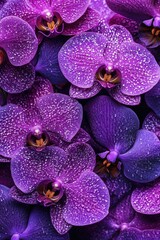 Purple flower cluster