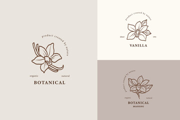 Line art vanilla flower logotypes