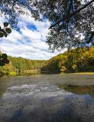 Fototapete bei efototapeten.de bestellen   