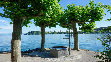 02_Fragment of the beautiful island of Mainau in Lake Constance, Germany. 