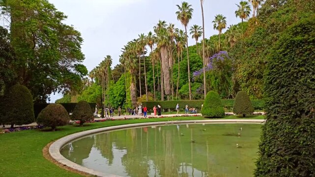public garden in Algiers, Algeria
test garden el hamma