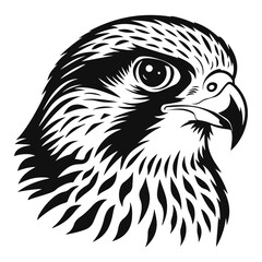Simple Design of Peregrine Falcon Head Vector