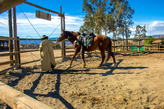 Horse training in a sandy round pen with a cowboy in traditional attire holding a lasso, under a clear sky with trees and mountains in the background