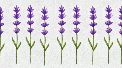Seamless Pattern of Lavender Flowers on White Background, Botanical and Nature Illustration