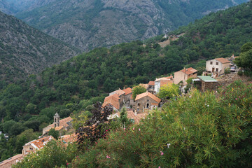 Scenic view of Asco village and Asco valley in Corsica; high mountains and forests surrounding a small village which is a popular tourist destination