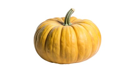 pumpkin isolated on white background