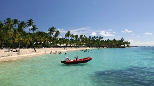 Beautiful view of a sunny tropical beach with palm trees on the Caribbean islands