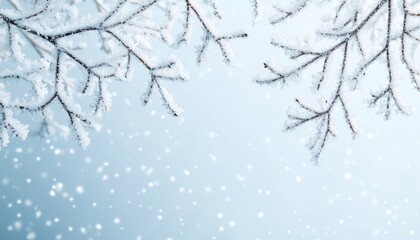 Frosty Winter Tree Branches with Falling Snow for Holiday Background