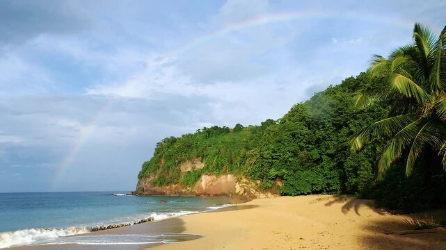 A beautiful rainbow on a sunny day above a sandy beach with palm trees in Guadeloupe Slow Motion