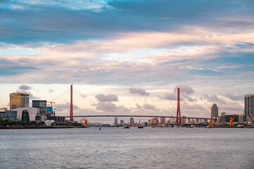 Fototapeta premium Yangpu Bridge in Shanghai at dusk with cloudy weather