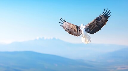 A striking visual of a majestic eagle soaring against a backdrop of a clear blue sky, with distant mountains softly blurred. The eagle is wings are outstretched, and the image captures a sense of