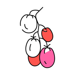branch tomato line icon vector. branch tomato sign. isolated symbol illustration