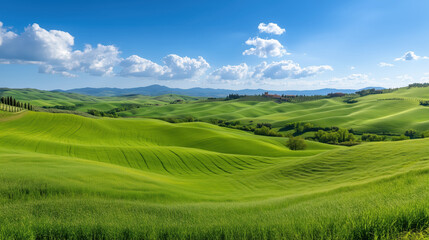 Obraz premium Picturesque View of Classic Tuscany Landscape Featuring Rolling Hills and Verdant Farmlands Under a Clear Blue Sky with Fluffy Clouds