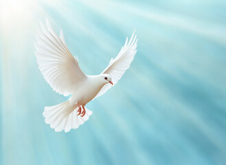 Obraz premium A white dove gracefully soaring in a vibrant blue sky illuminated by soft sunlight
