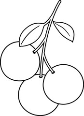 Orange fruits hanging with green leaves outline isolated 
Orange fruit with leaves outline vector