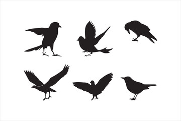 Bird silhouette set illustration.