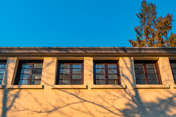 Tree shadows cast on a house in dusk light