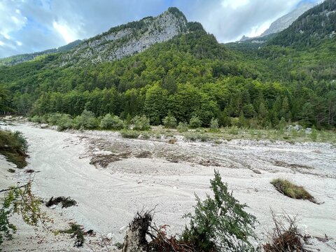 Sand alluvium of Suhi Potok in Zadnja Trenta (Triglav National Park, Slovenia) - Sandschwemmland von Suhi Potok in Zadnja Trenta (Triglav-Nationalpark, Slowenien) - Pe&scaron;čena naplavina Suhega Potoka