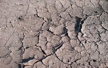 Background of dry cracked earth, parched earth, texture of earth dirt, desert, global warming, climate change