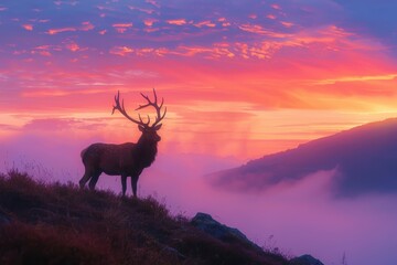 Fototapeta premium Majestic Stag on Hilltop at Sunrise with Mystical Valley Mist for Nature and Wildlife Posters