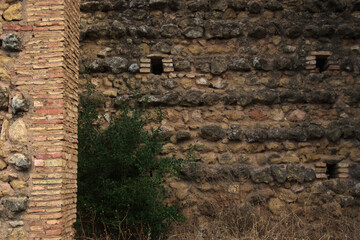 Detail of an ancient derelict convent in Seville, Carmona