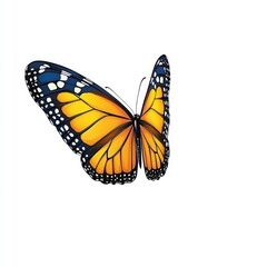 Fototapeta premium Colorful Flying Butterfly Illustration on White Background