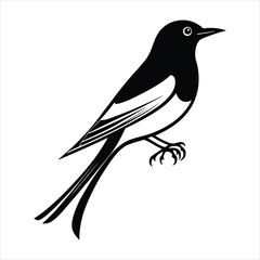 Elegant Black and White Bird Illustration in Minimalist Style with Bold Line Art and Clean Silhouette