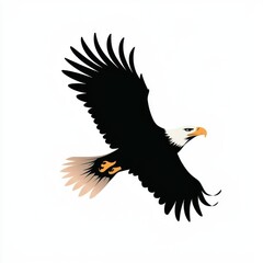 Fototapeta premium Eagle Silhouette in Flight on White Background