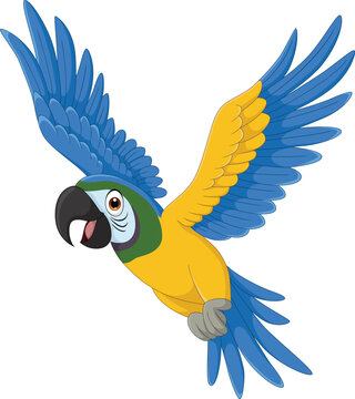 Illustration of cartoon parrot bird flying