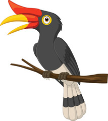 Illustration of cartoon hornbill on the branch