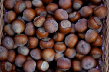 Photo with fresh shelled hazelnuts. Top view. Counter with nut. Concept of healthy food, selling and buying farm products, entrepreneurship support. Ingredient for salad, dessert, cake. Flat lay