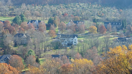 The colorful forest view in the natural park in autumn