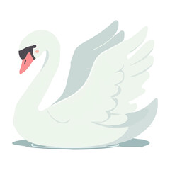 Fototapeta premium Vector Swan in Spring Animals Theme on White Background
