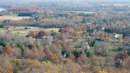 The colorful forest view in the natural park in autumn