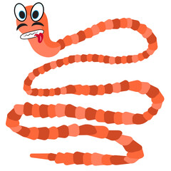 bovine tapworm