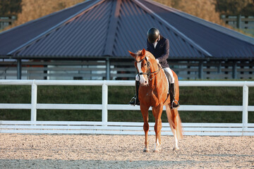 Salute to the dressage judges. The red horse starts riding in the individual competition. Participant of the dressage competition in the Juniors competition
