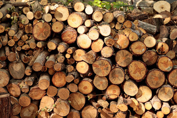 Close-up of sawn firewood stacked in a pile