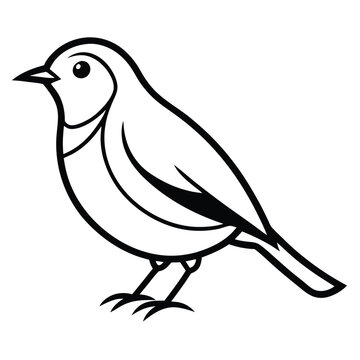 recommend clip art: Japanese robin  bird line art drawing silhouette illustration on a white background 