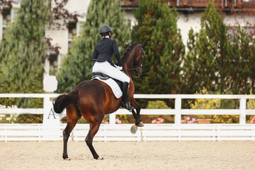 Horse disobedience on the flying change movements. Error of the test on dressage. Disqualification...