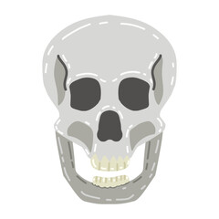 Human skull facing straight forward. The skull is depicted in shades of gray with black eye sockets and nose, and white teeth.