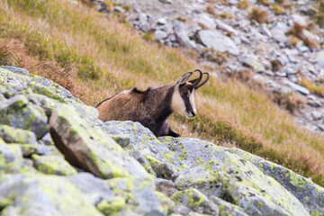 A walk in the Tatra Landscape Park. 
