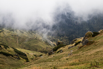 A walk in the Tatra Landscape Park. 